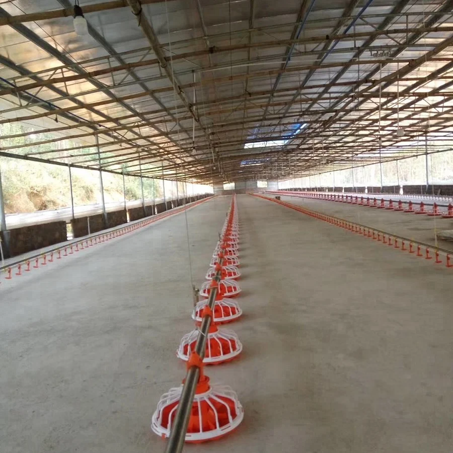 
Automatic Broiler floor feeding drinking system 