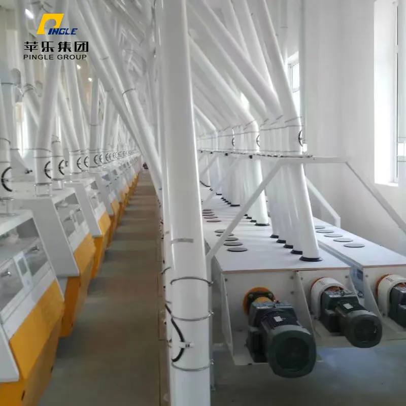Strong and durable milling wheat in bulk