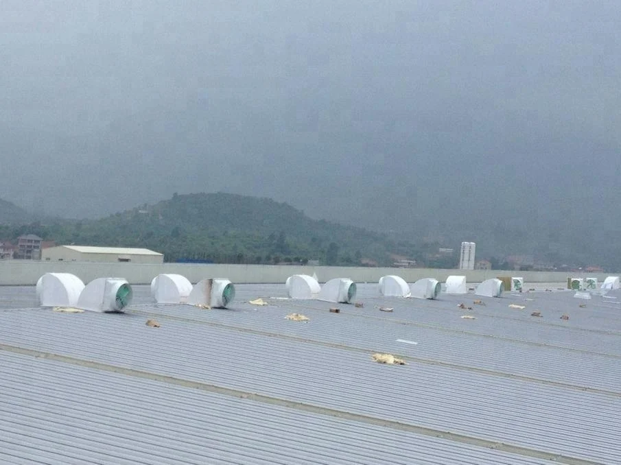 centrifugal exhaust poultry fan/livestock environment system/livestock ventilation fan