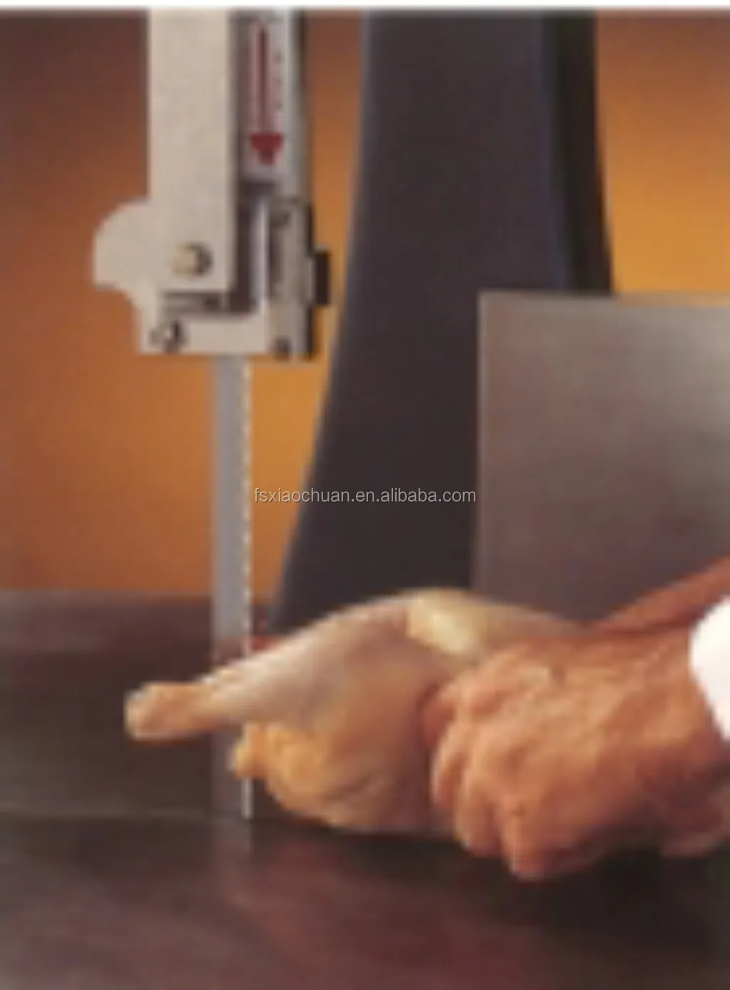 Butcher vertical band saw cutting machine