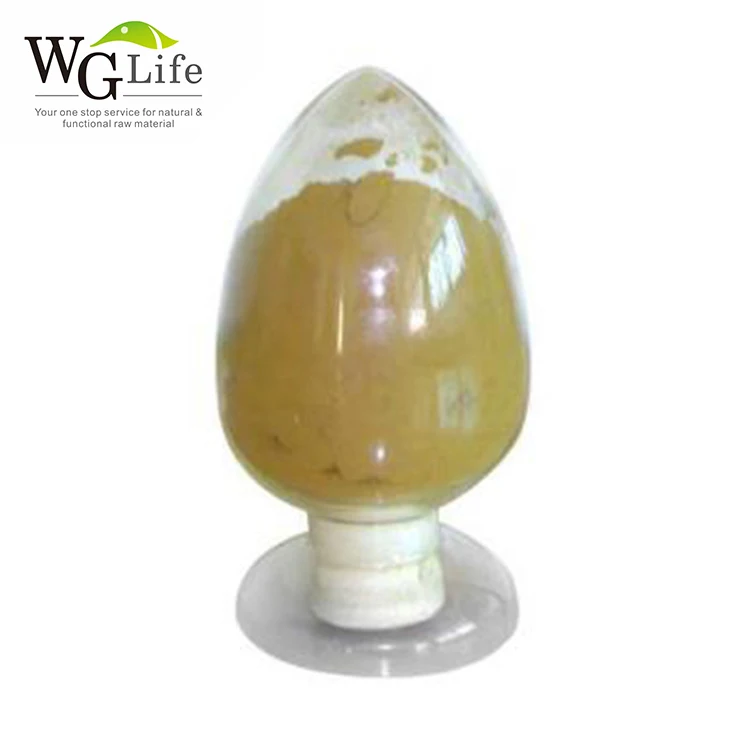 Factory direct supply wolfberry goji berry powder Plant Extract