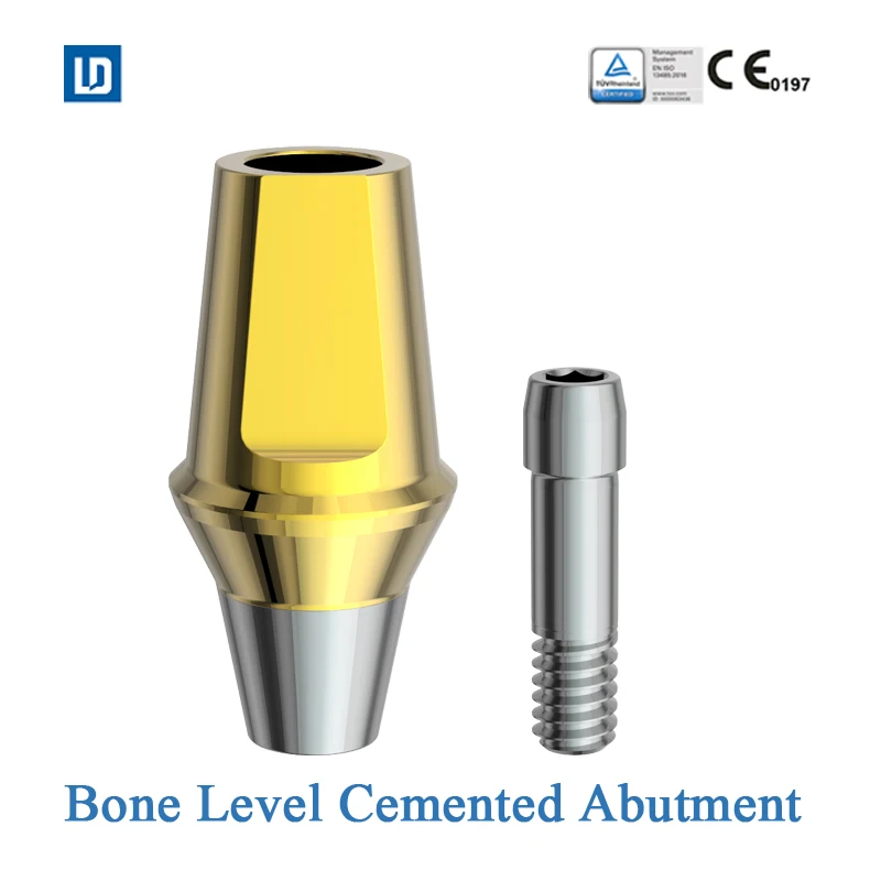 Dental Implant Cemented abutment straight abutment compatible for osstem Dentium