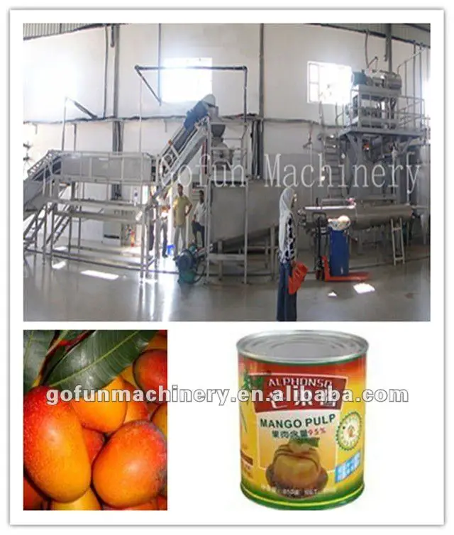 манго целлюлозы производственная линия ( фрукты производственное оборудование ) китай