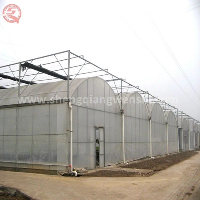 Low cost agriculture plastic film home multi span tunnel greenhouse for sale