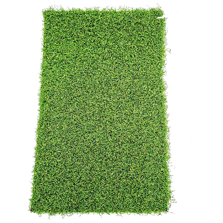 Putting green golf field turf golf grass golf cours put green grass