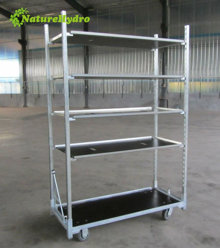Great galvanized danish flower trolley nursery cc container