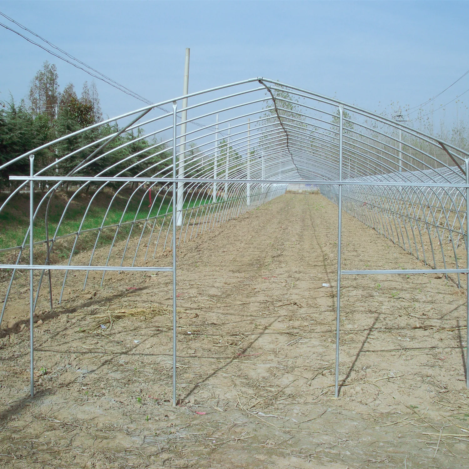 Коммерческая/Сельскохозяйственная Однопролетная пленочная теплица, одобренная парниковым рынком