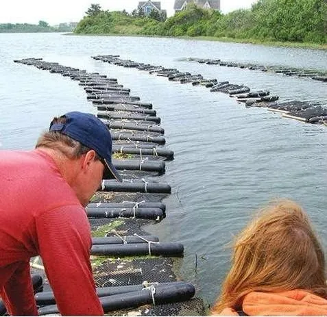 100% new HDPE Oyster mesh growing bags knotless Net