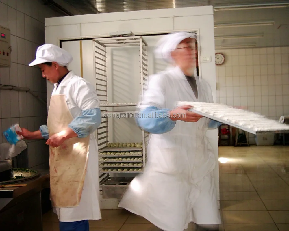 Небольшая быстрозамораживающая машина iqf, морозильная камера мгновенного замораживания замороженных продуктов, мини-морозильная камера, недорогая цена, распродажа