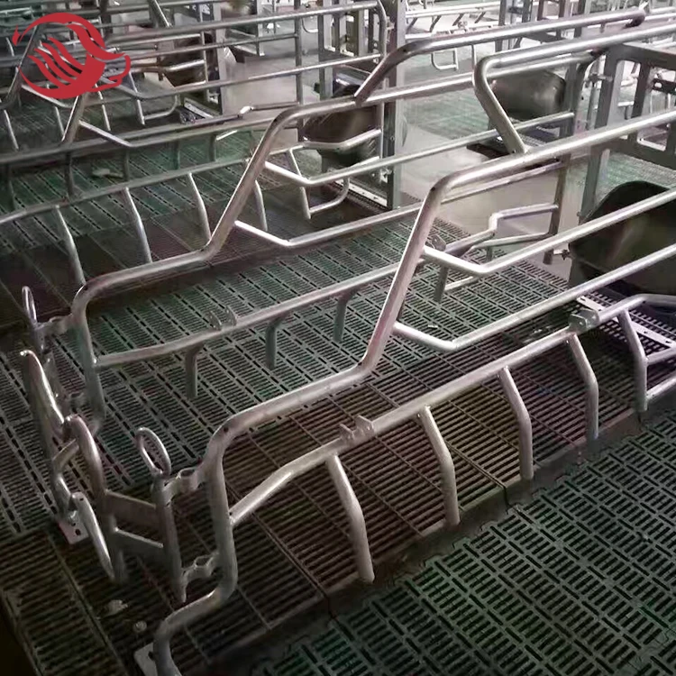 Piggery Farm Equipment, Galvanized Pig Farrowing Crates