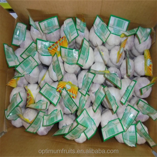 Fresh Alho Chinese 4p Pure White Garlic Seeds for Sale to Dubai Market