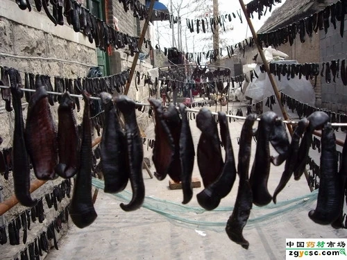 Hot Sale CT-C Series Hot Air Circulation Leech Dryer