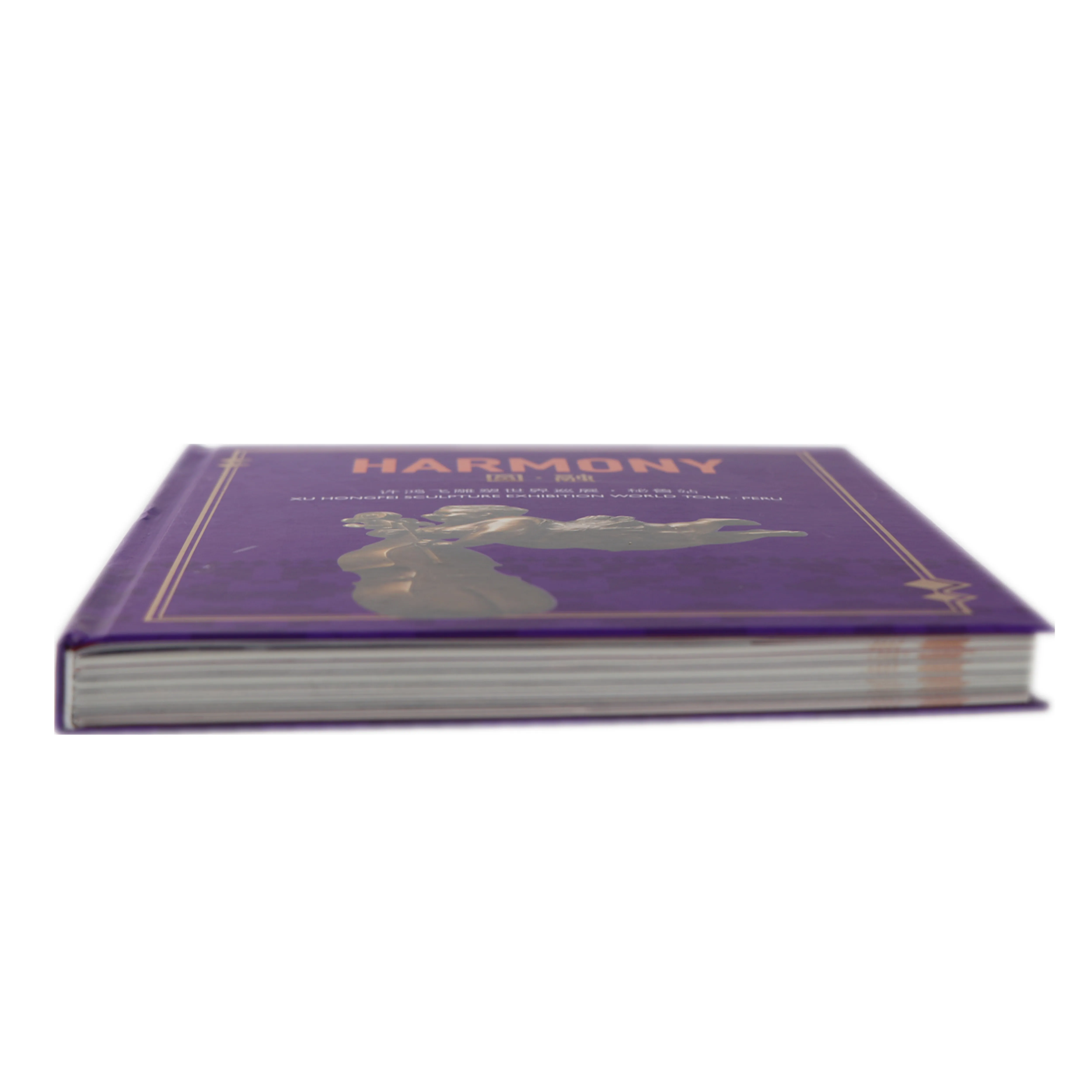 Hardcover customized A4 size sew binding full color dress shoes CMYK offset printing famous sculpture album book manufacture
