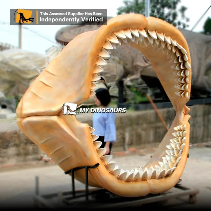 My Dino Fiberglass Fossil Shark Teeth for Museum