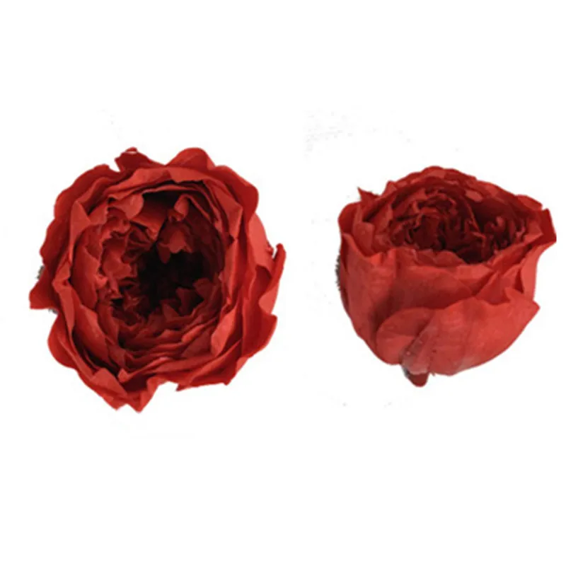 
Long Lasting Roses Preserved Flower Austin Rose for Decorative Flowers & Wreaths 