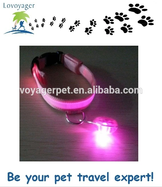 привели животное воротник загораются в ночь