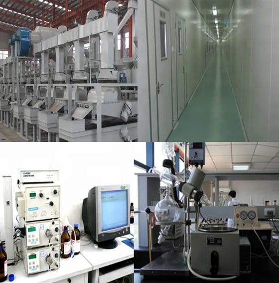 
Pure natural Dehydrated Horseradish Powder 