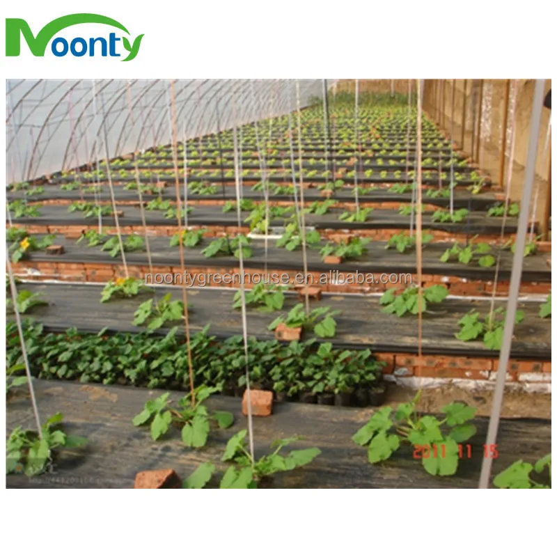 Greenhouse Equipment Farm Irrigation System Fertilizer Machine for Lettuce/Tomato/Cucumber/Eggplant/Cherry/Pepper/Herb/Rose Grow