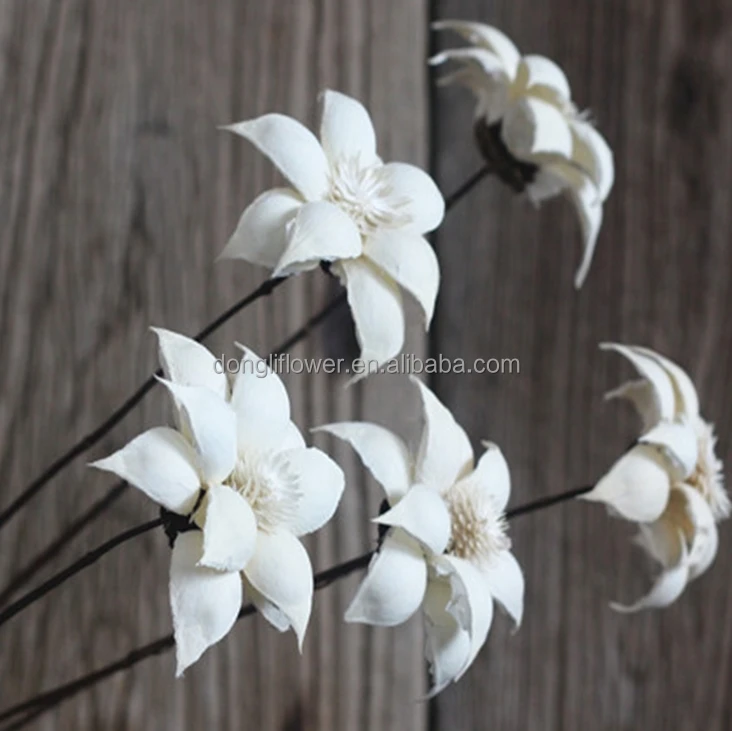 Dried Artificial Flower arts by natural Tung tree fruit shell