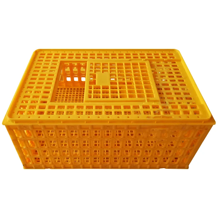 Supplier china sell types of layer chicken cages for zimbabwe poultry