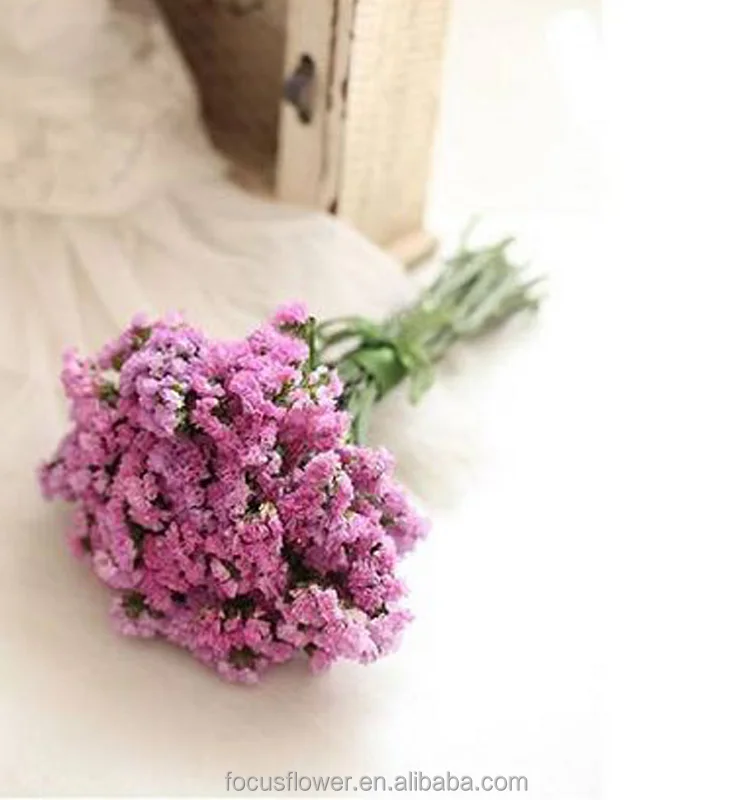 The best fresh cut statice flower from Yunnan for gift