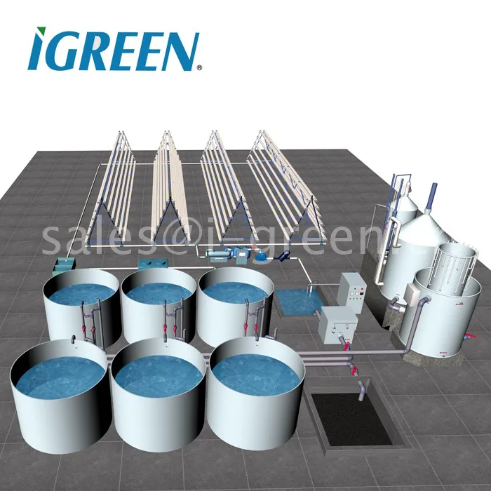 Recirculating aquaculture system for fish(150--600cbm)