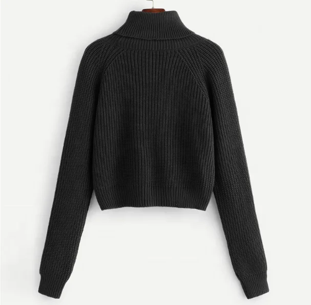 
Turtleneck Raglan Sleeve Jumper Fall Winter Tops For Womens Knitted Sweater 