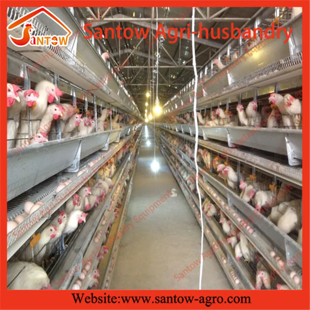 prefabricated chicken coop hen house for sale / metal wire mesh laying hen houses Vertical H-Type Frame