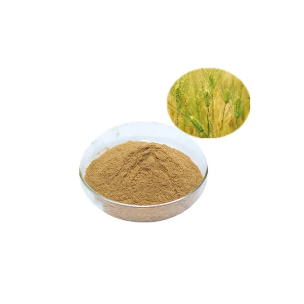 RUNYU supply barley malt extract barley malt extract powder barley grass extract powder