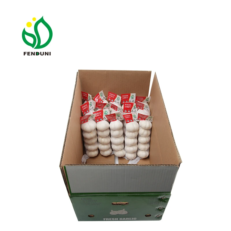 
2019 Garlic Price garlic box 10kg for Morocco 