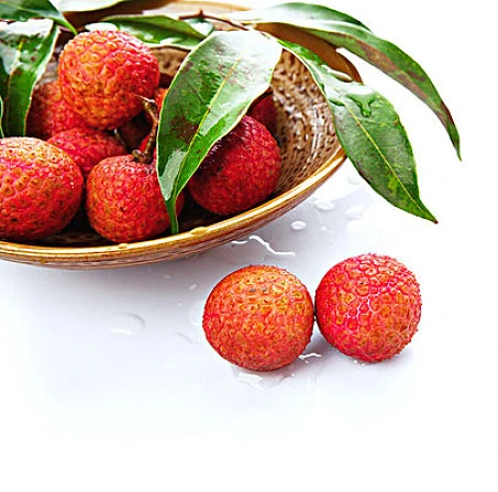 Tropical fruits names all fruits canned lychee in heavy syrup for singapore