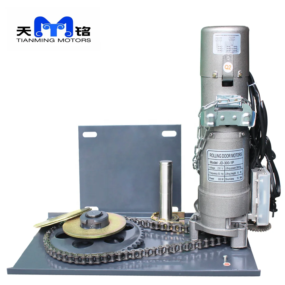 Request Color and Copper Material Roller Door Motor