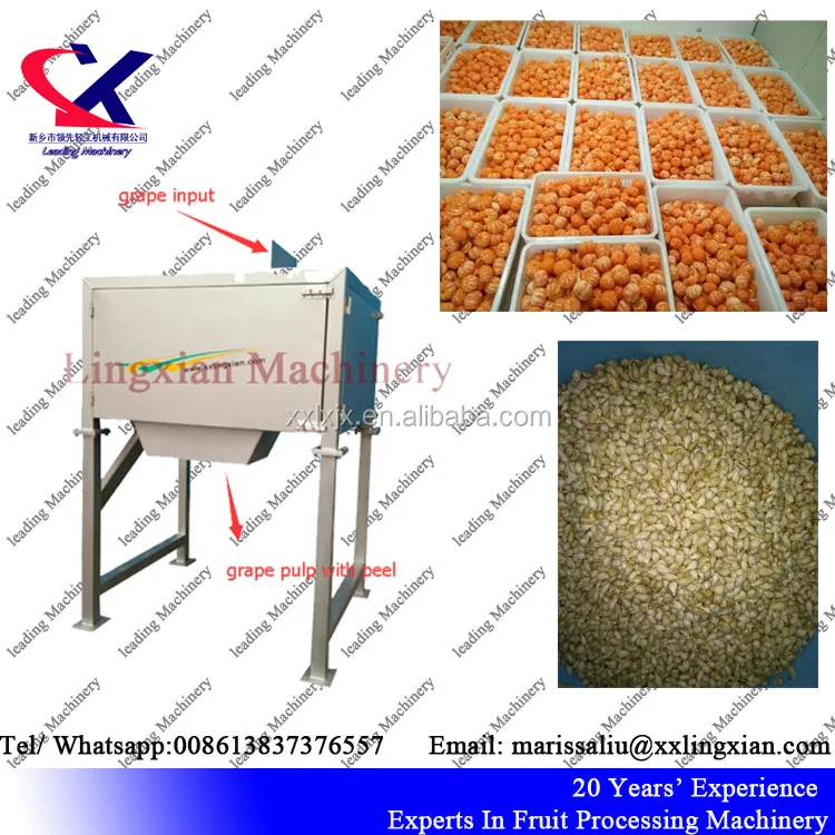 Профессиональный Производитель вина, оборудование для обработки виноградных косточек Remover