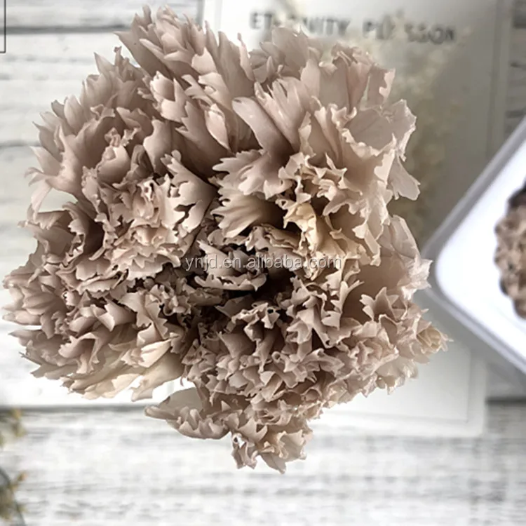 cheap price best quality China 4-5cm preserved carnation flower nice lower