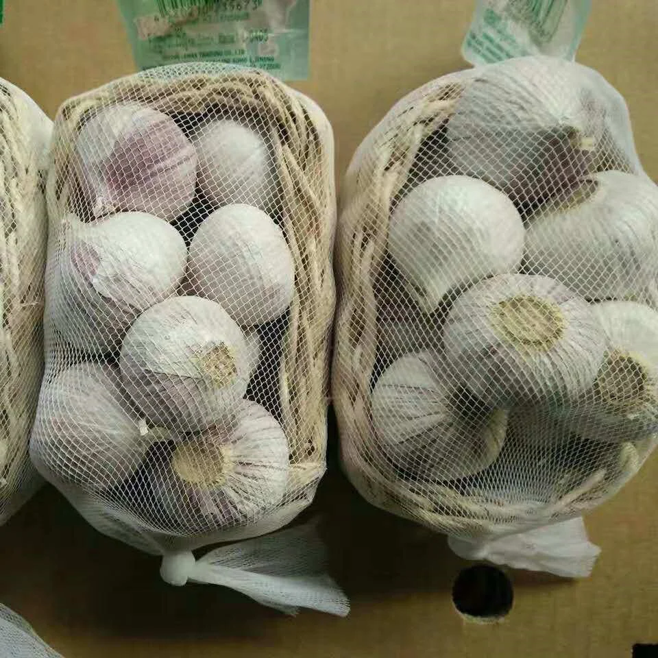 Новый Урожай свежего чистого белого и обычного белого чеснока