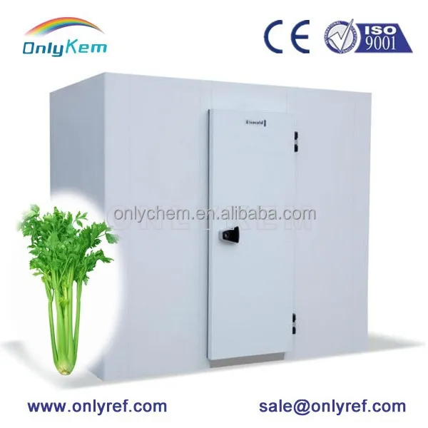 Свежие яйца хранения ходить в холодильная