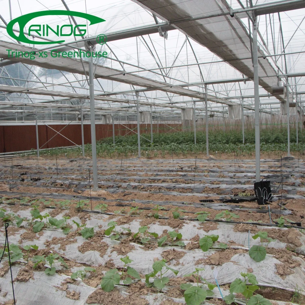 Trinog Design folding portable greenhouse for sale