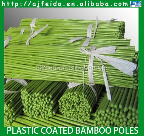 FD   PVC coated bamboo pole for building