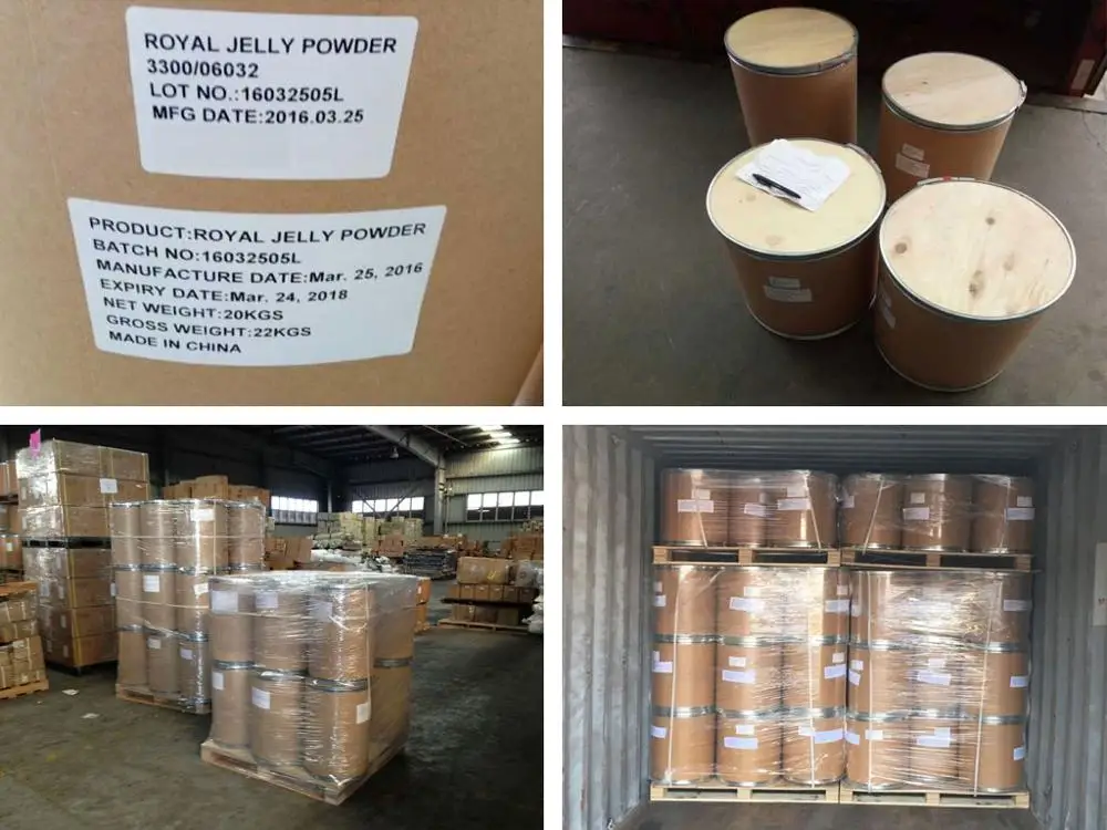10-HDA 6.0% Royal Jelly Powder Lyophilized for Health care