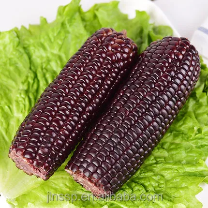 Лидер продаж, желтая кукуруза без ГМО с вакуумной упаковкой