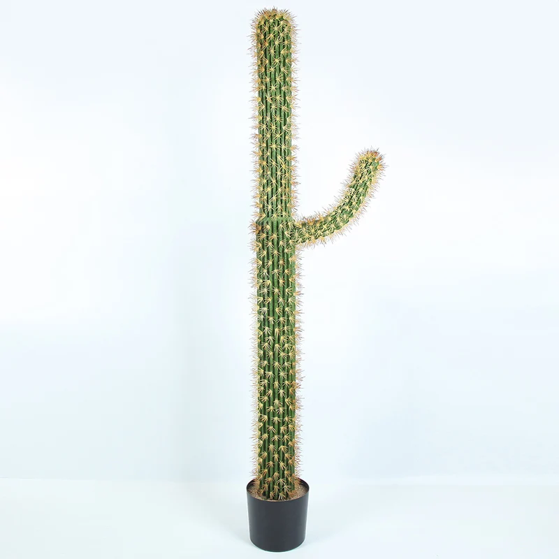 Supplier Artificial potted Decorative plants outdoor simulation cactus