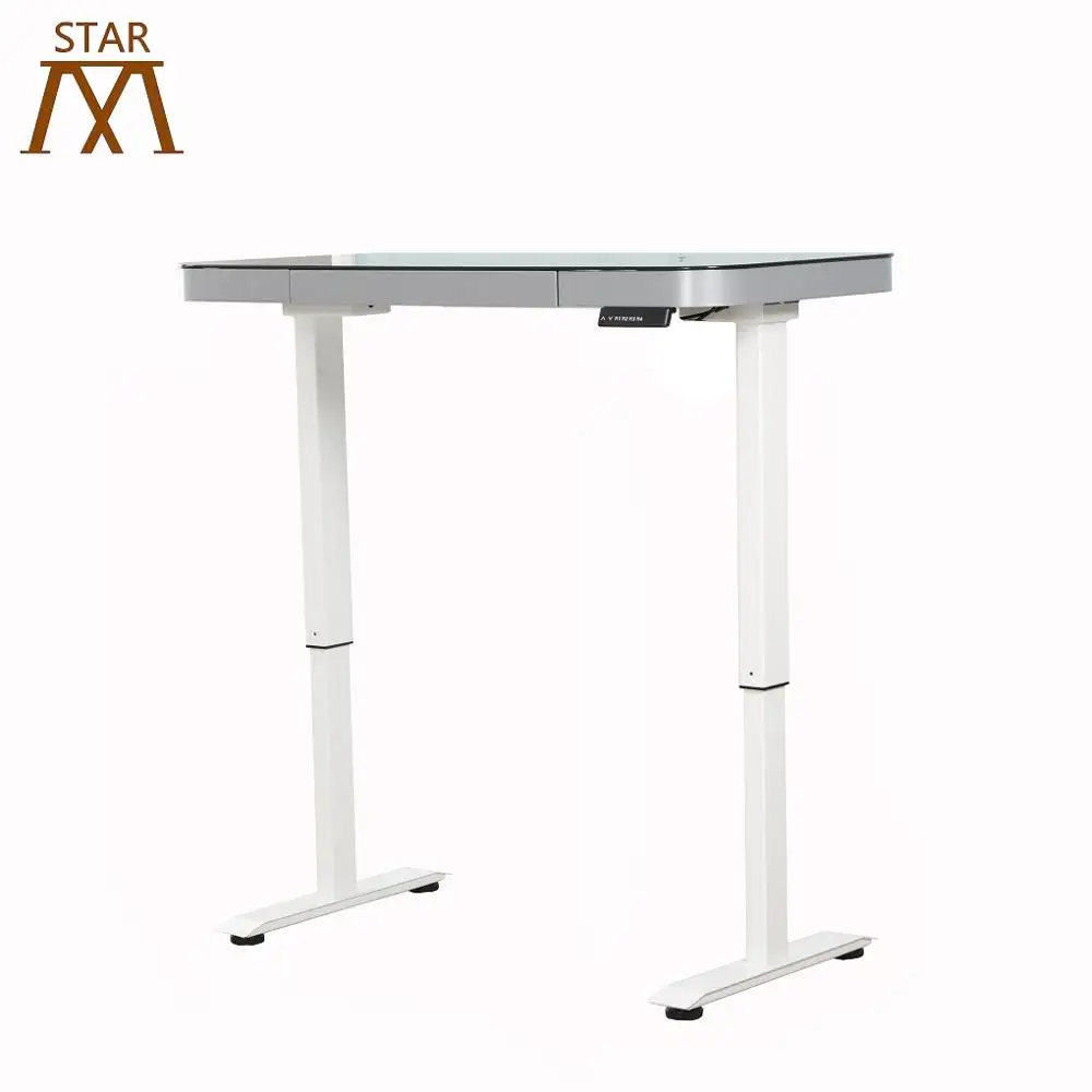 
Germany Dual Motors Intelligent Electric Height Adjustable Standing Desk Two Segments Lifting Column 