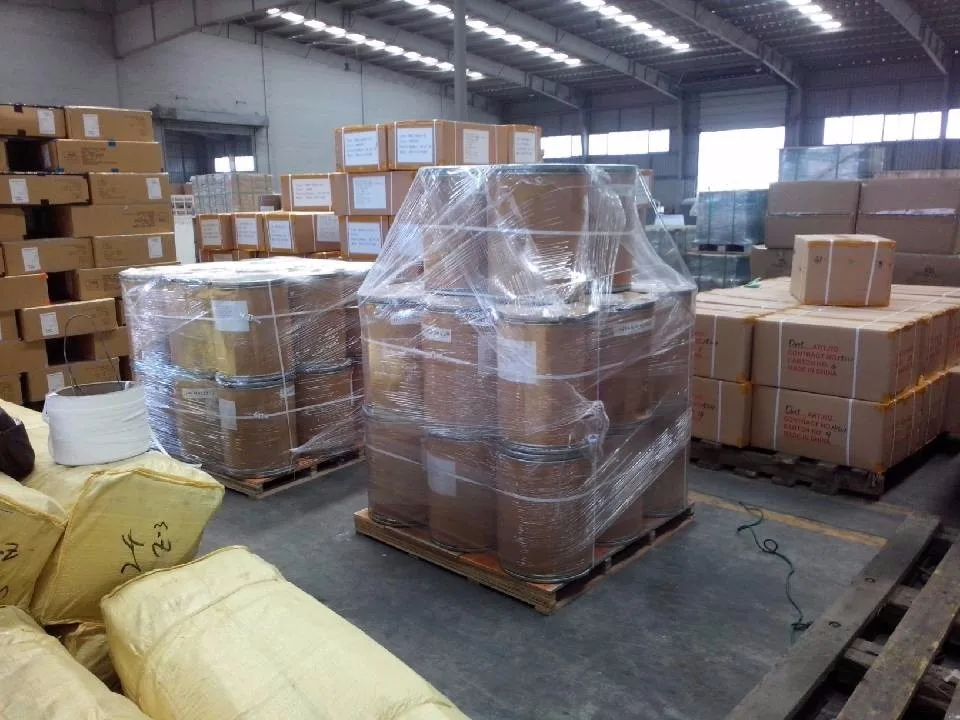 
10:1, Radix Angelicae Dahuricae P.E./Radix Angelicae Dahuricae extract Powder 