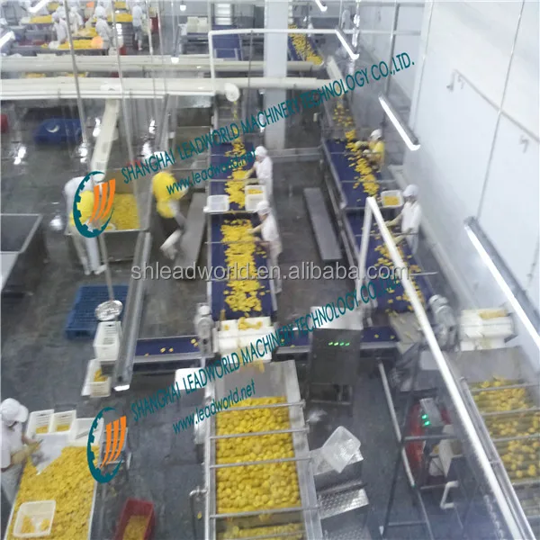 China brand Automatic peach fruit canning machine