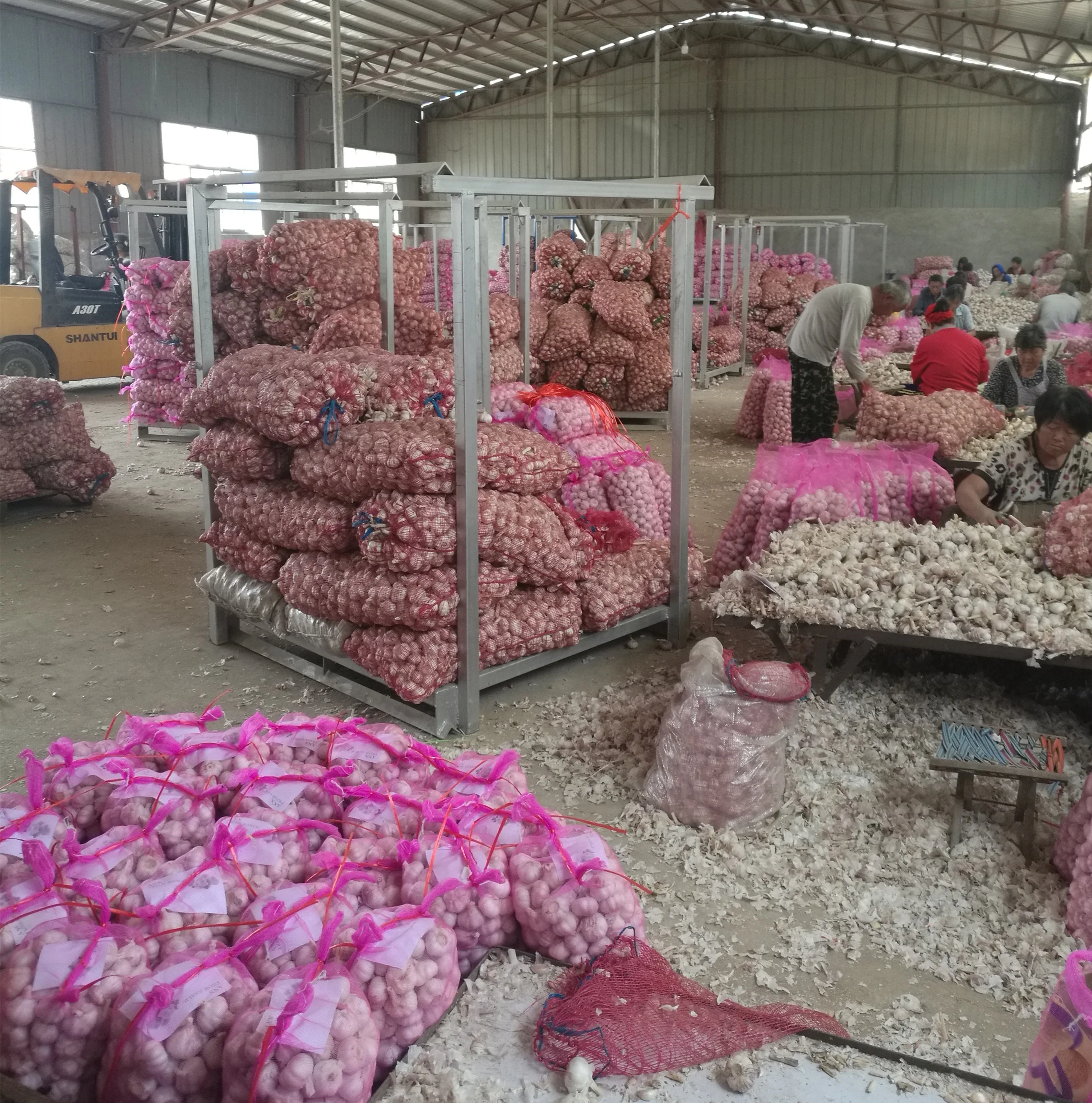 original garlic from china