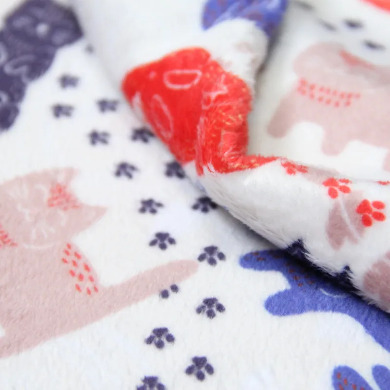 
Custom Small MOQ Digital Printed Minky Baby Blanket Fabric 