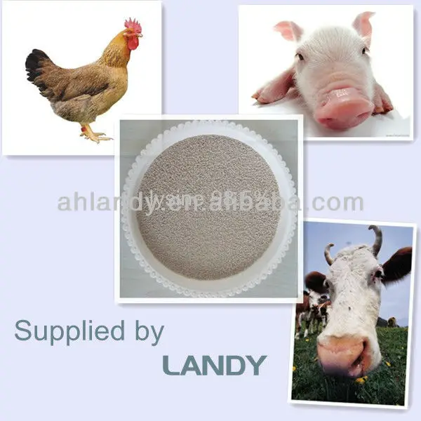 Наиболее профессиональных поставщиком лучшие цены L лизин HCL 98.5%