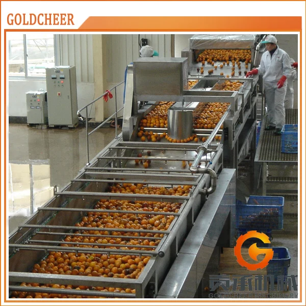 Professional factory order orange juice machine processing
