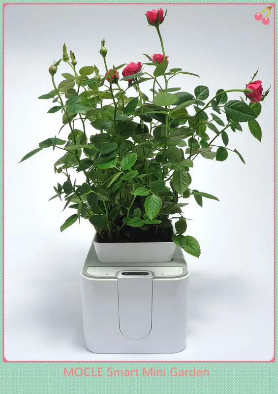 Новая технология сельского хозяйства крытый смарт-сад