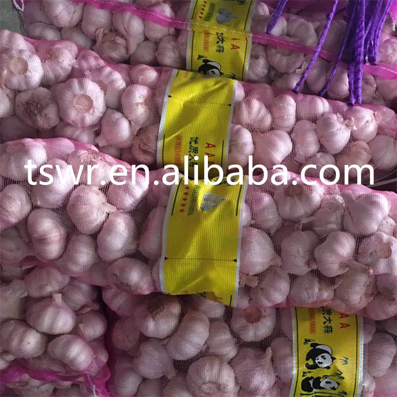 
cold storage garlic high quality garlic 2020 crop 